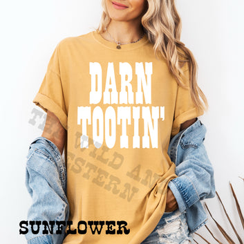 DARN TOOTIN' Comfort Colors Graphic Tee