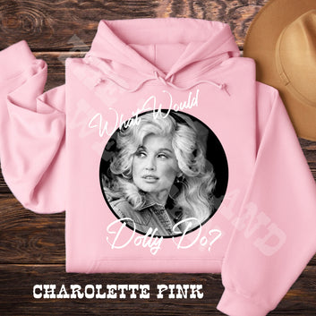 What Would Dolly Do?  Hoodie